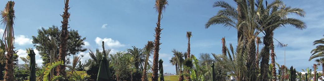 TUI BLUE RIU Tikida Beach ****