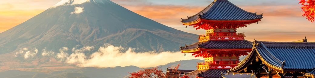 Groepsreis Japan