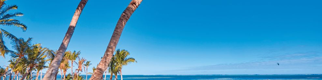 RIU Turquoise ****